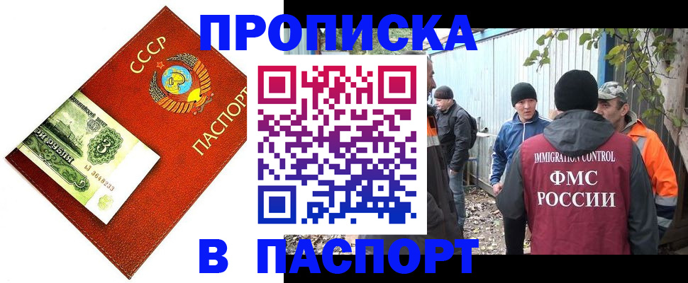 купить прописку в Мытищах
